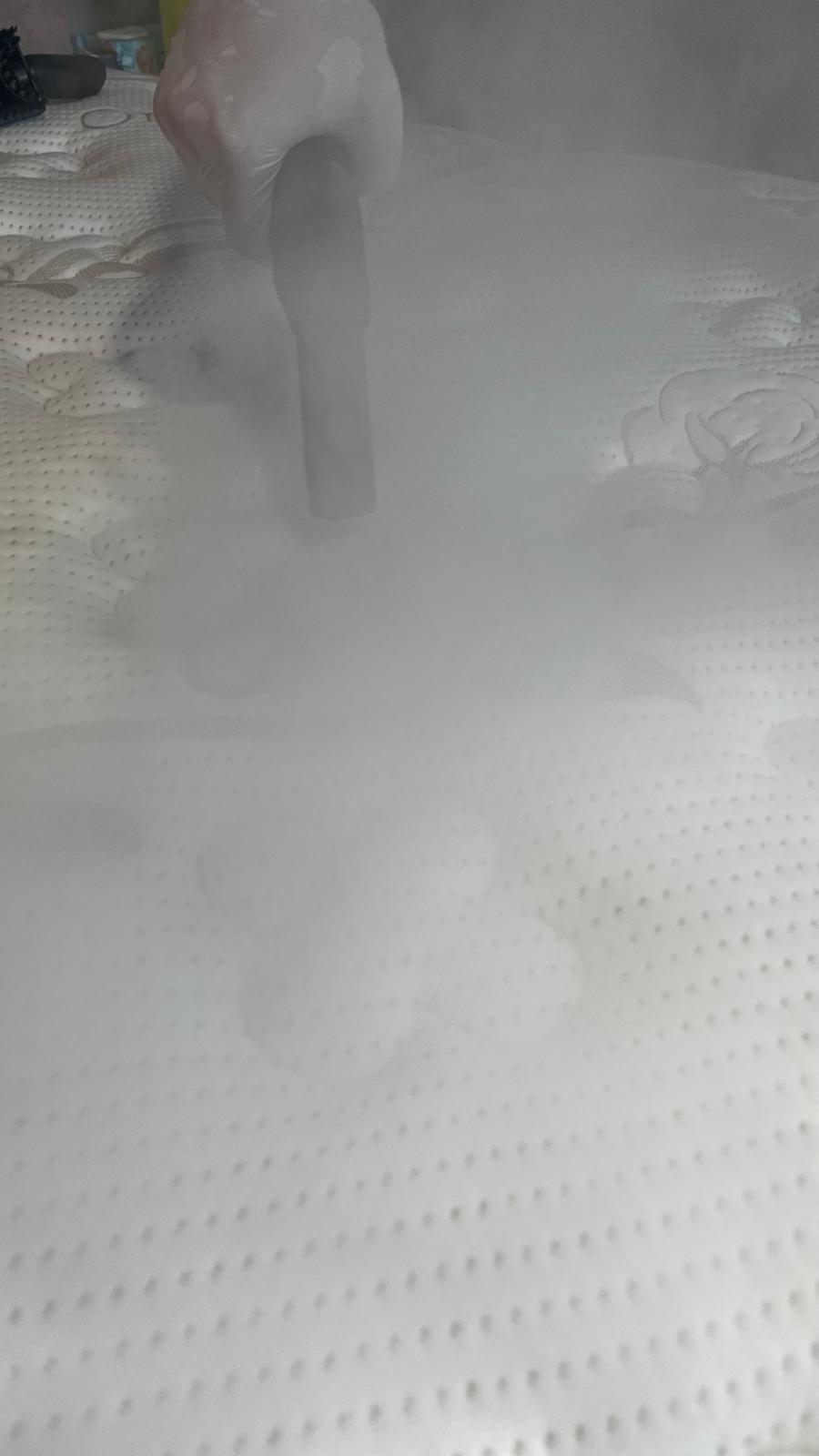 Çınar Buharlı Yıkama